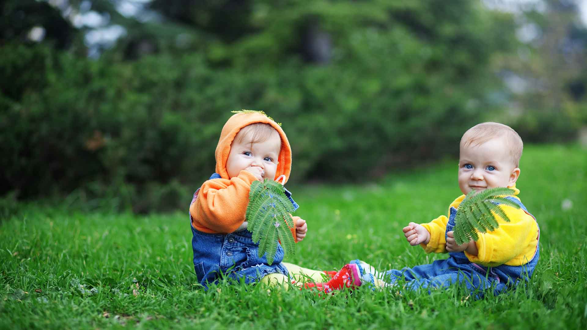 Website Business Solutions